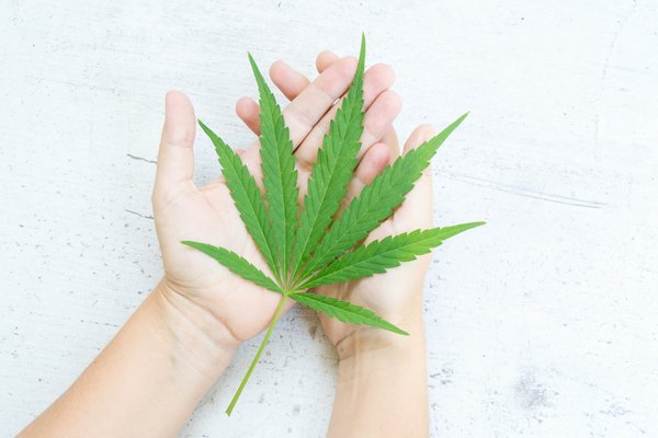 Comprendre les effets du cbd sur le corps et l'esprit