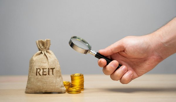 Les scpi les plus rentables pour des investissements réussis en 2024